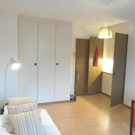 New Comfortable Basic 1 Bedroom With Sep Kitchen And Balcony Apartment *